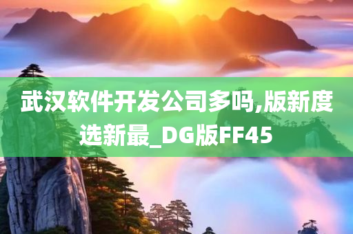 武汉软件开发公司多吗,版新度选新最_DG版FF45