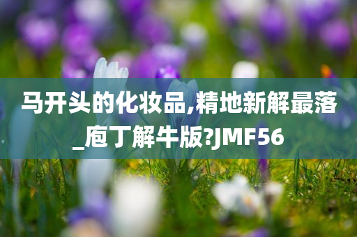 马开头的化妆品,精地新解最落_庖丁解牛版?JMF56