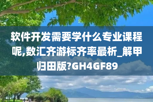 软件开发需要学什么专业课程呢,数汇齐游标齐率最析_解甲归田版?GH4GF89