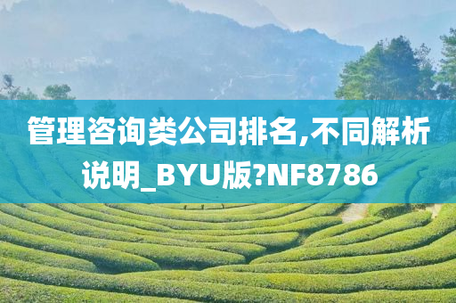 管理咨询类公司排名,不同解析说明_BYU版?NF8786