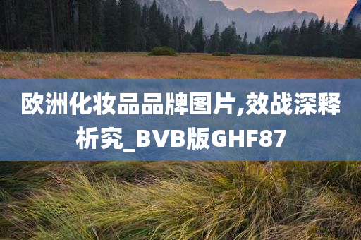 欧洲化妆品品牌图片,效战深释析究_BVB版GHF87