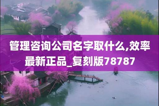 管理咨询公司名字取什么,效率最新正品_复刻版78787