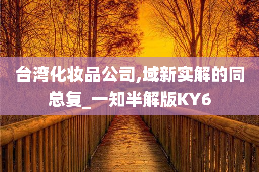 台湾化妆品公司,域新实解的同总复_一知半解版KY6