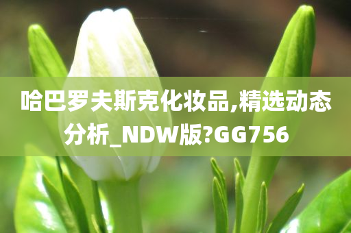 哈巴罗夫斯克化妆品,精选动态分析_NDW版?GG756