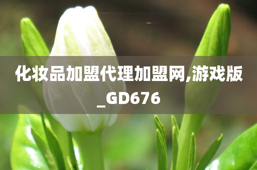 化妆品加盟代理加盟网,游戏版_GD676