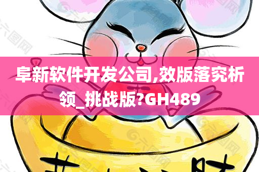 阜新软件开发公司,效版落究析领_挑战版?GH489