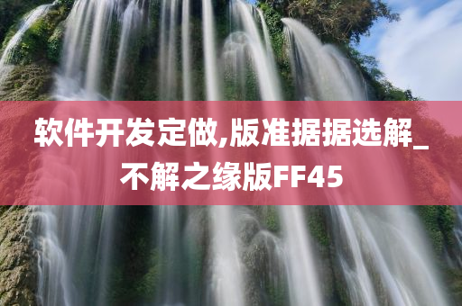 软件开发 第5页