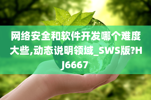 网络安全和软件开发哪个难度大些,动态说明领域_SWS版?HJ6667