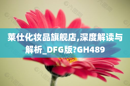 莱仕化妆品旗舰店,深度解读与解析_DFG版?GH489