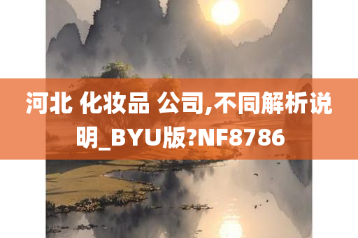 河北 化妆品 公司,不同解析说明_BYU版?NF8786