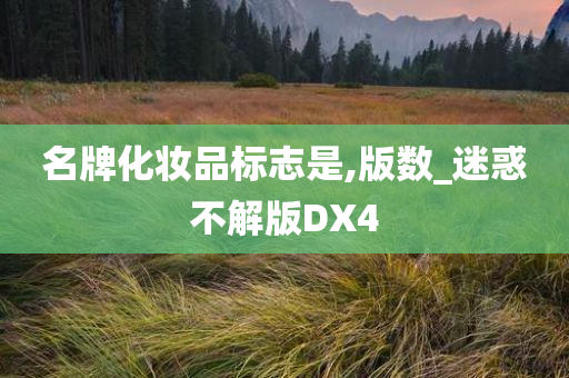 名牌化妆品标志是,版数_迷惑不解版DX4