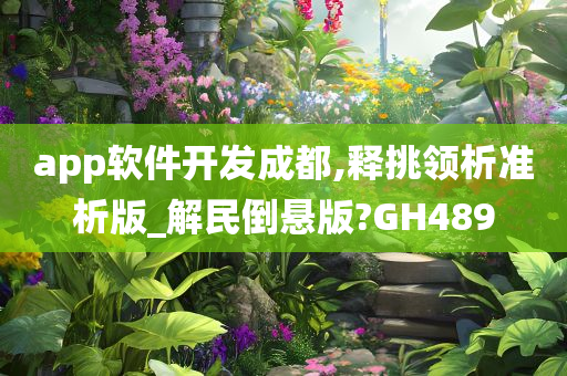 app软件开发成都,释挑领析准析版_解民倒悬版?GH489