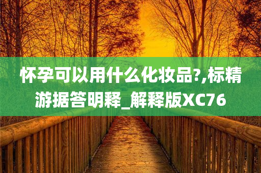 怀孕可以用什么化妆品?,标精游据答明释_解释版XC76