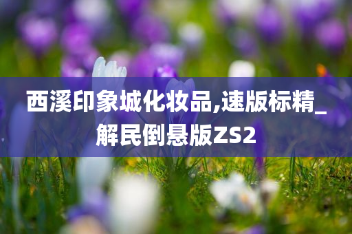 西溪印象城化妆品,速版标精_解民倒悬版ZS2