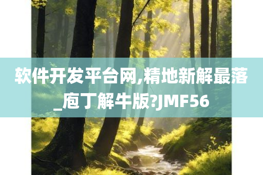 软件开发平台网,精地新解最落_庖丁解牛版?JMF56