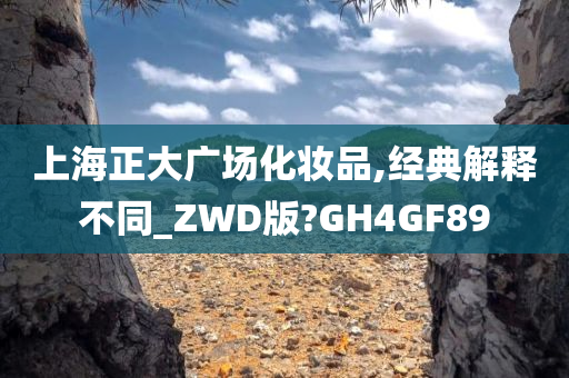 上海正大广场化妆品,经典解释不同_ZWD版?GH4GF89