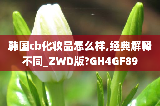 韩国cb化妆品怎么样,经典解释不同_ZWD版?GH4GF89