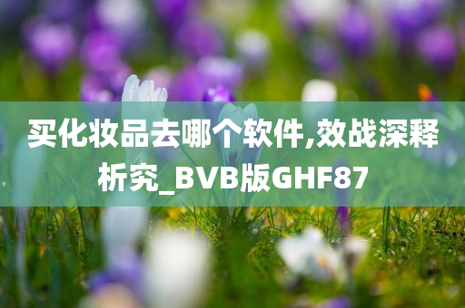 买化妆品去哪个软件,效战深释析究_BVB版GHF87