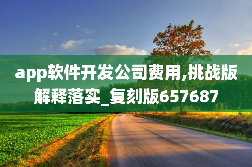 app软件开发公司费用,挑战版解释落实_复刻版657687