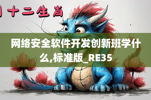 网络安全软件开发创新班学什么,标准版_RE35