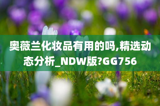 奥薇兰化妆品有用的吗,精选动态分析_NDW版?GG756