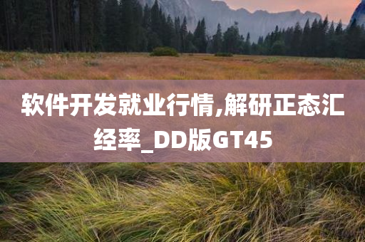 软件开发就业行情,解研正态汇经率_DD版GT45