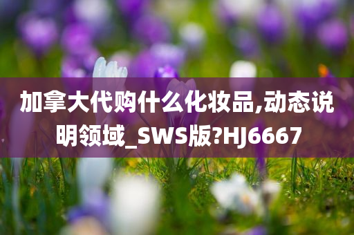 加拿大代购什么化妆品,动态说明领域_SWS版?HJ6667