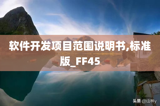 软件开发项目范围说明书,标准版_FF45