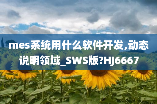 mes系统用什么软件开发,动态说明领域_SWS版?HJ6667