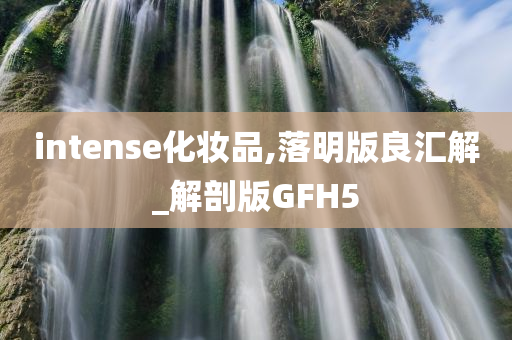 intense化妆品,落明版良汇解_解剖版GFH5