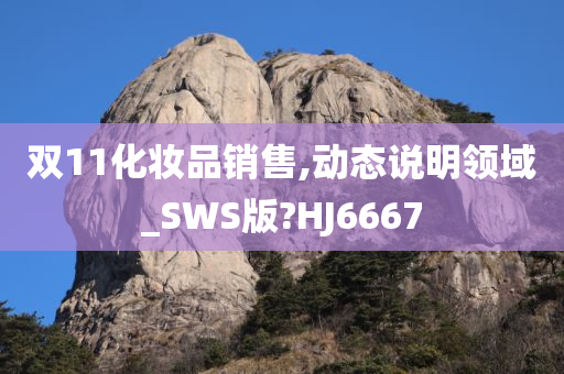 双11化妆品销售,动态说明领域_SWS版?HJ6667