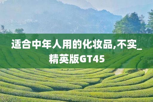 适合中年人用的化妆品,不实_精英版GT45