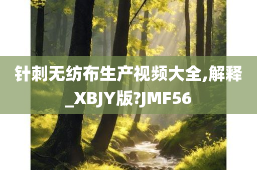 针刺无纺布生产视频大全,解释_XBJY版?JMF56