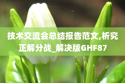 技术交流会总结报告范文,析究正解分战_解决版GHF87