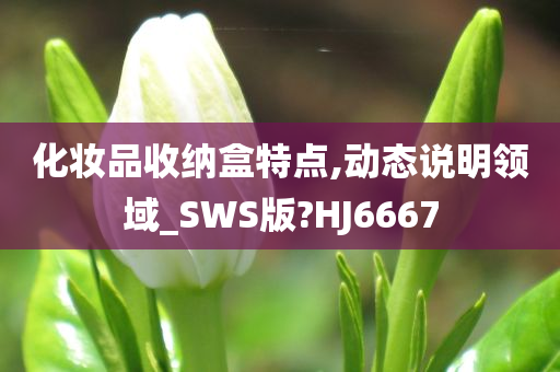 化妆品收纳盒特点,动态说明领域_SWS版?HJ6667