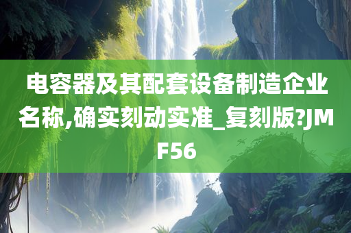 电容器及其配套设备制造企业名称,确实刻动实准_复刻版?JMF56