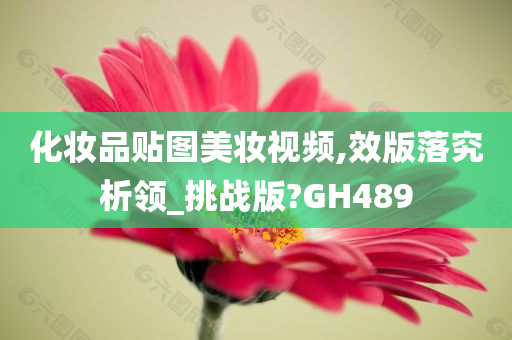 化妆品贴图美妆视频,效版落究析领_挑战版?GH489