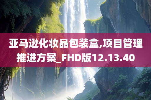 亚马逊化妆品包装盒,项目管理推进方案_FHD版12.13.40