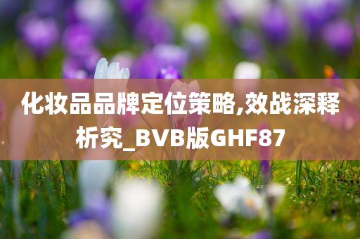 化妆品品牌定位策略,效战深释析究_BVB版GHF87