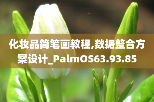 化妆品简笔画教程,数据整合方案设计_PalmOS63.93.85