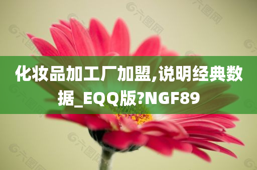 化妆品加工厂加盟,说明经典数据_EQQ版?NGF89