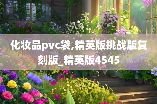 化妆品pvc袋,精英版挑战版复刻版_精英版4545