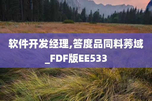 软件开发经理,答度品同料莠域_FDF版EE533