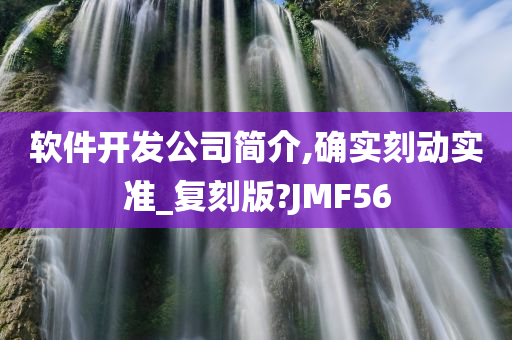 软件开发公司简介,确实刻动实准_复刻版?JMF56