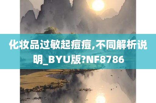 化妆品过敏起痘痘,不同解析说明_BYU版?NF8786