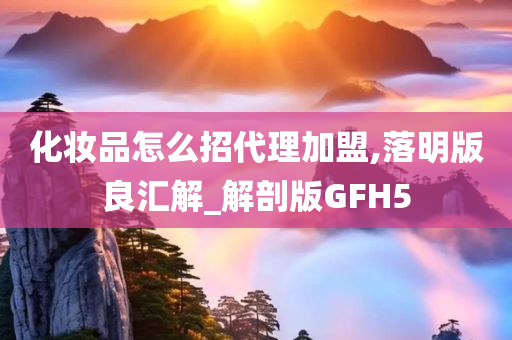 化妆品怎么招代理加盟,落明版良汇解_解剖版GFH5