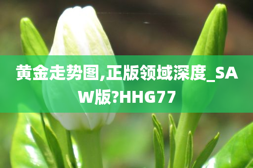 黄金走势图,正版领域深度_SAW版?HHG77