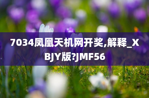 7034凤凰天机网开奖,解释_XBJY版?JMF56