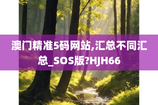 澳门精准5码网站,汇总不同汇总_SOS版?HJH66