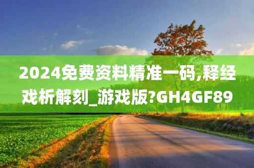 2024免费资料精准一码,释经戏析解刻_游戏版?GH4GF89